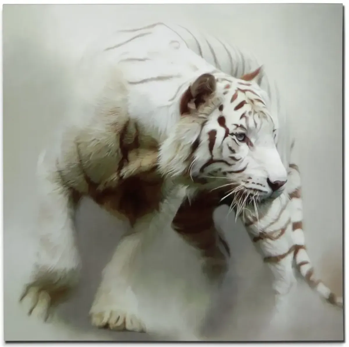 White Tiger 48'' x 48'' Wall Art