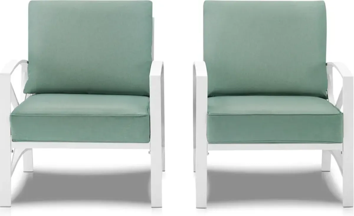 Clarion Set of 2 Outdoor Chairs - Mist/White