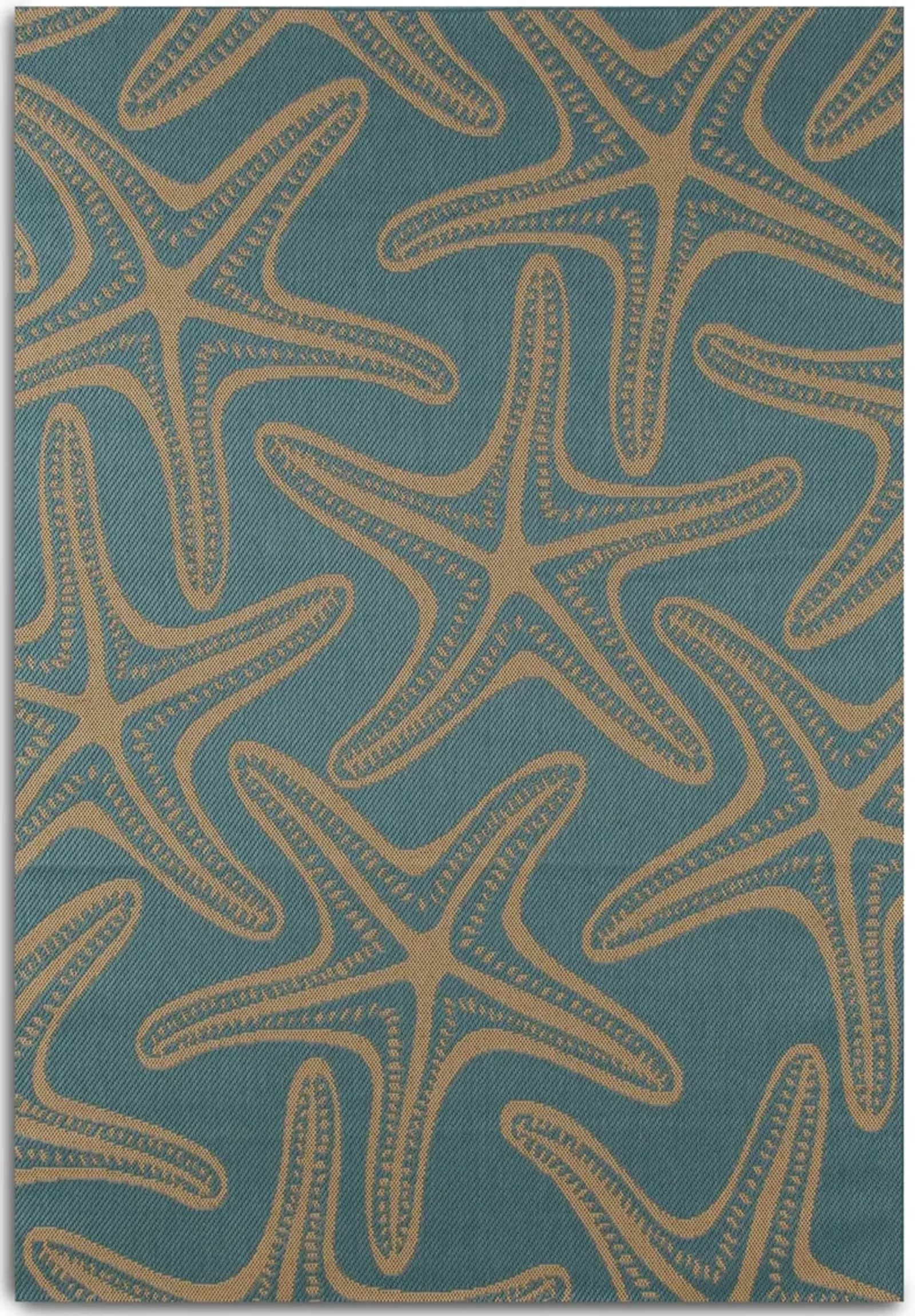 Starfish Indoor/Outdoor 4' X 6' Area Rug - Blue