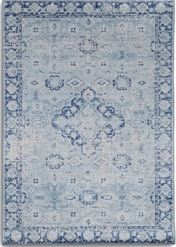 Antero 5 X 7 Area Rug - Blue/Ivory