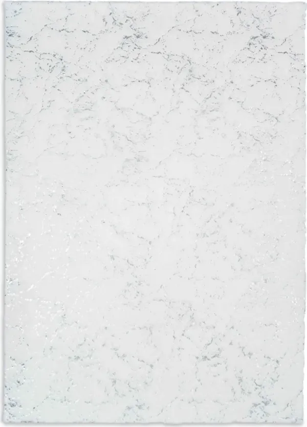 Kashi 5' x 7' Area Rug - White And Silver