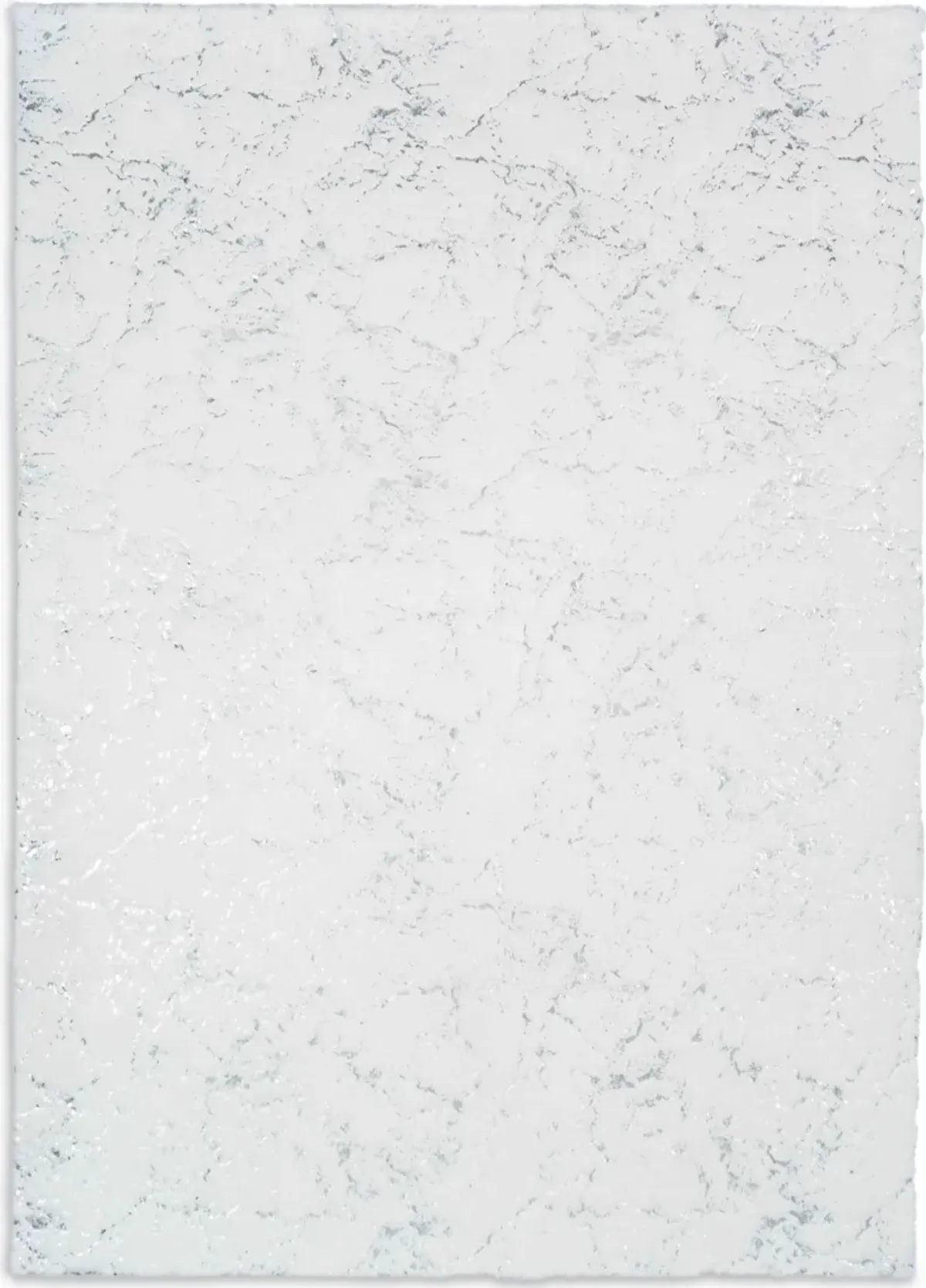 Kashi  8' x 10' Area Rug - White And Silver