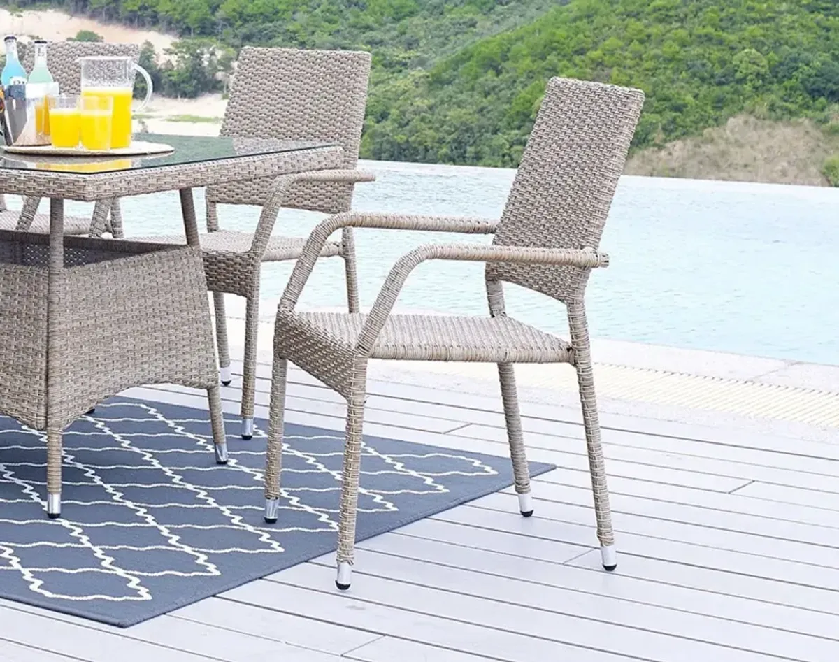 Palm Island Outdoor Dining Chair - Tan