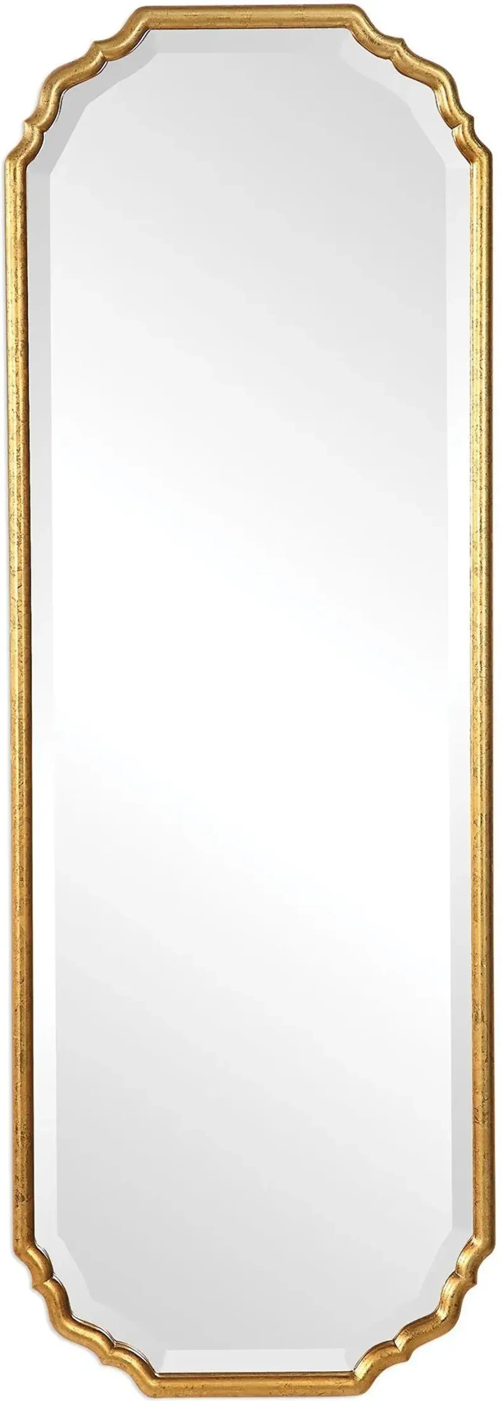 Raphael 62'' x 22'' Wall Mirror