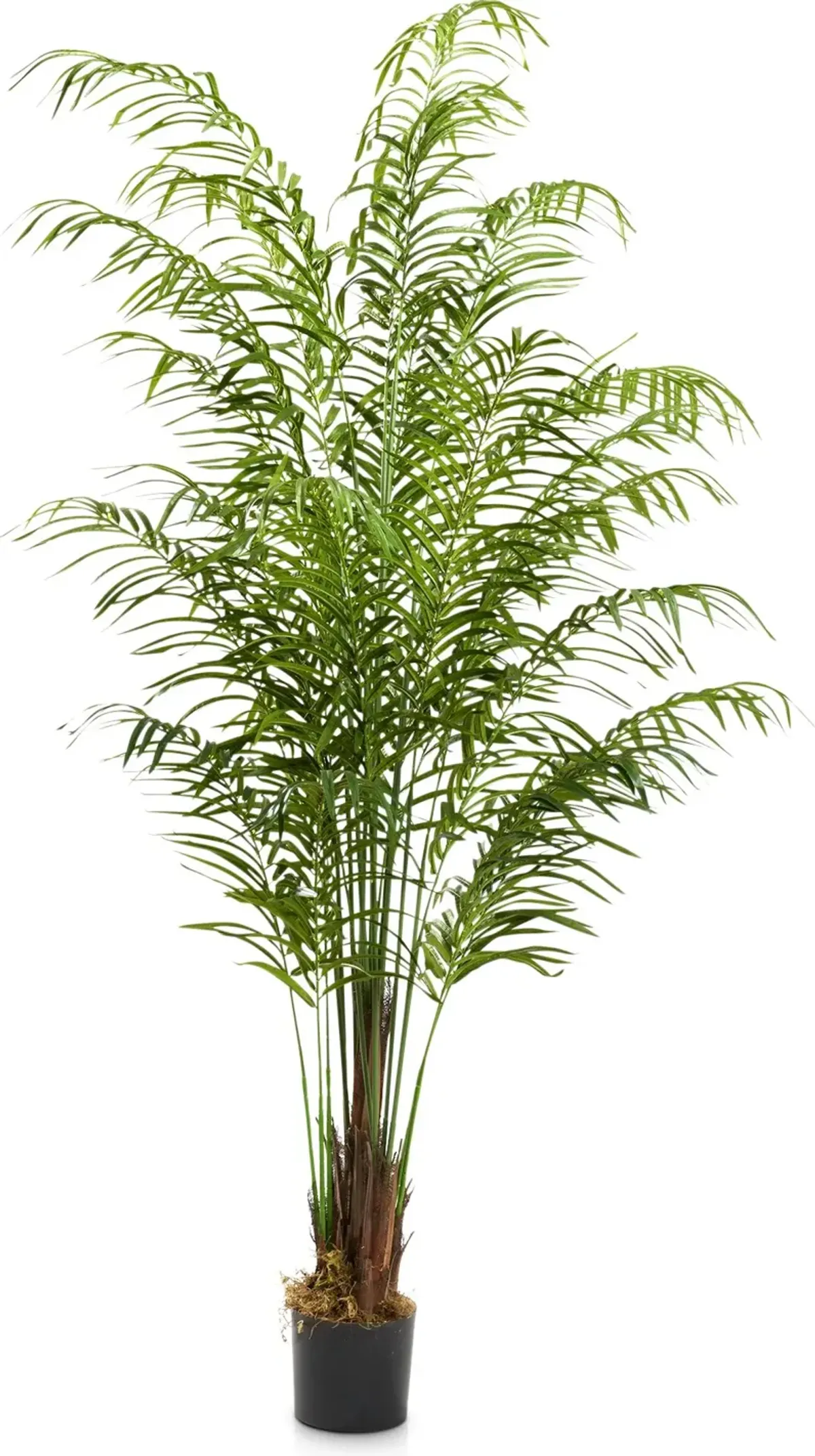 Faux 8' Areca Palm Plant