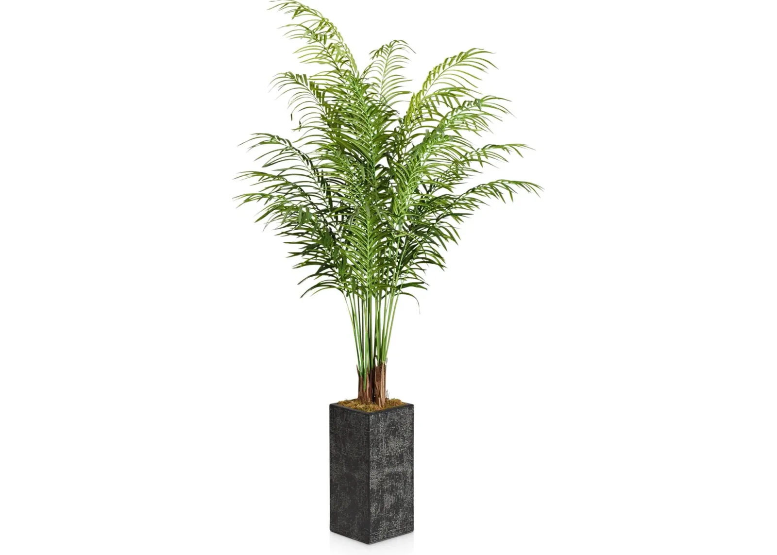 Faux 7.5' Areca Palm Plant with Black Sanibel Planter - Medium