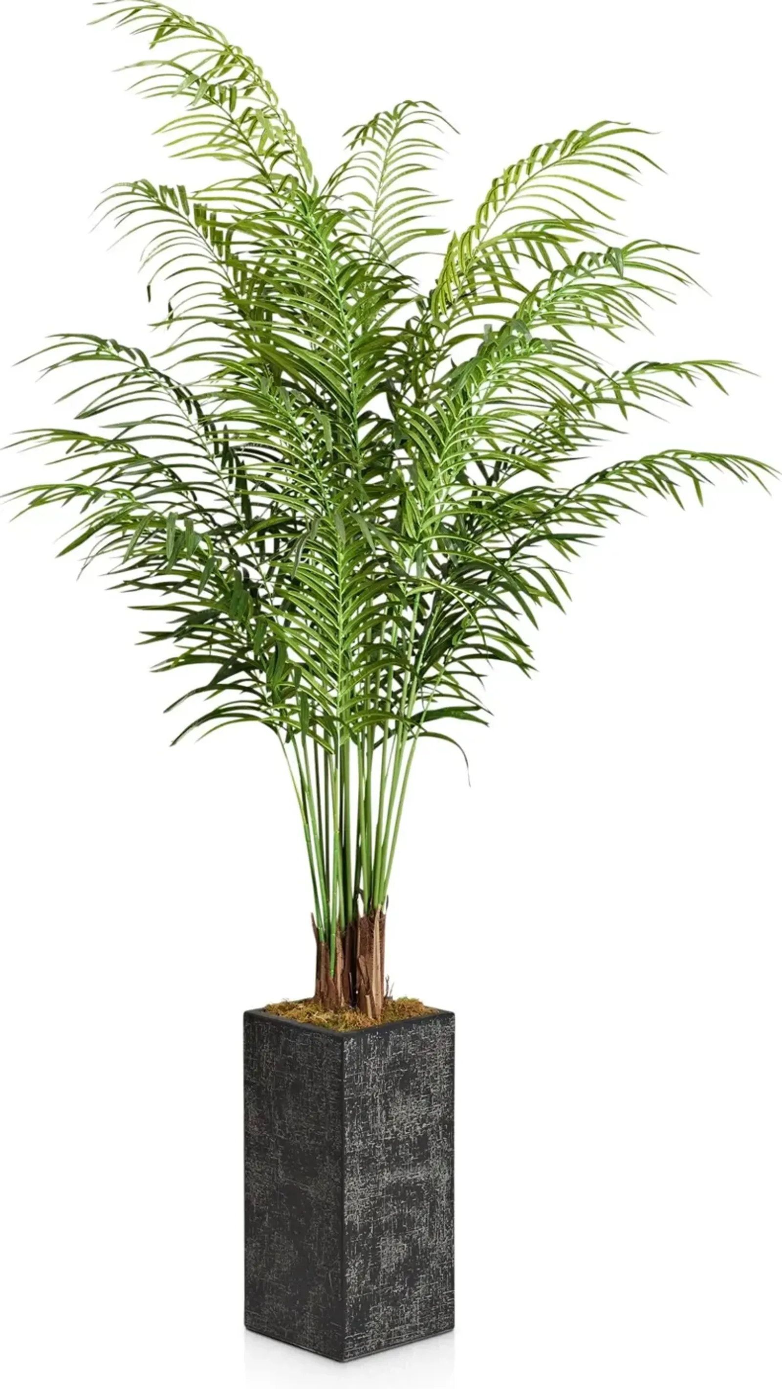 Faux 7.5' Areca Palm Plant with Black Sanibel Planter - Medium