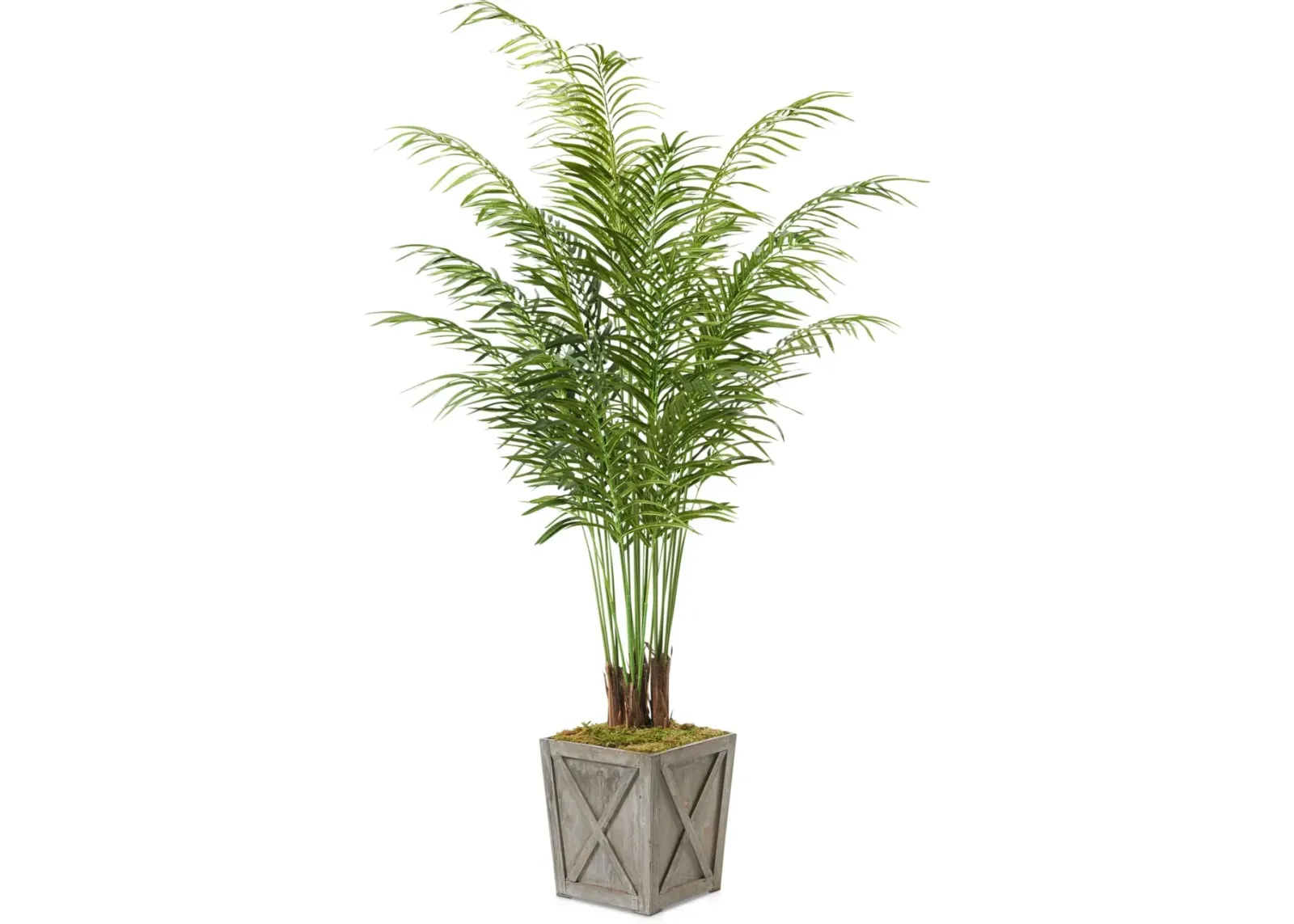 Faux 7' Areca Palm Plant with Farmhouse Wood Planter - Medium