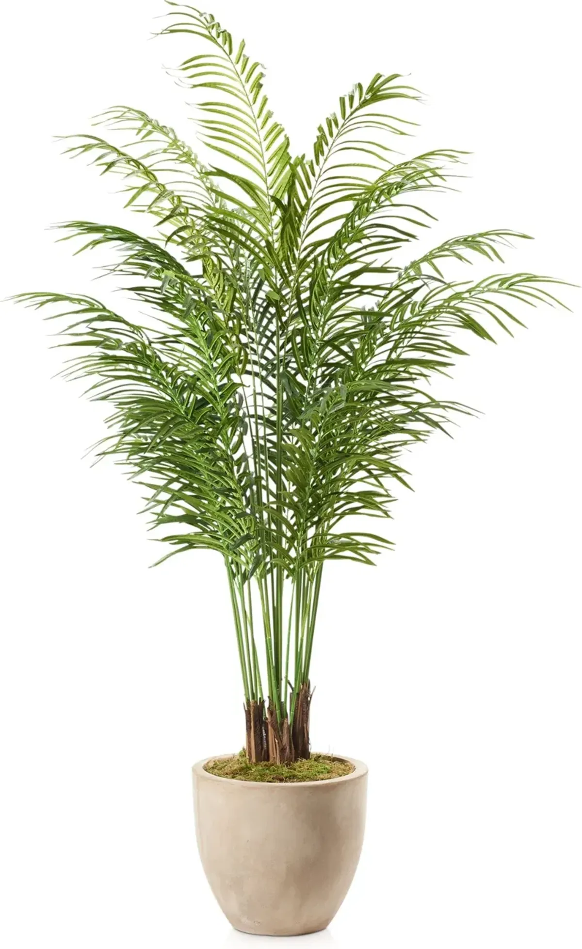 Faux 7' Areca Palm Plant with Sandstone Planter - Medium