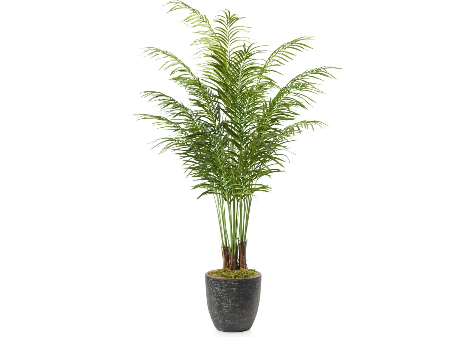 Faux 7' Areca Palm Plant with Summit Planter - Medium