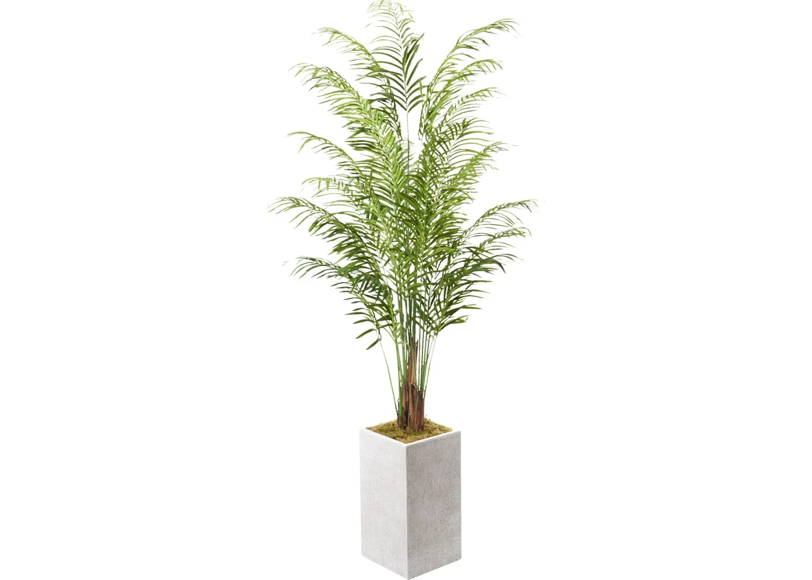 Faux 9.5' Areca Palm Plant with White Sanibel Planter - Large