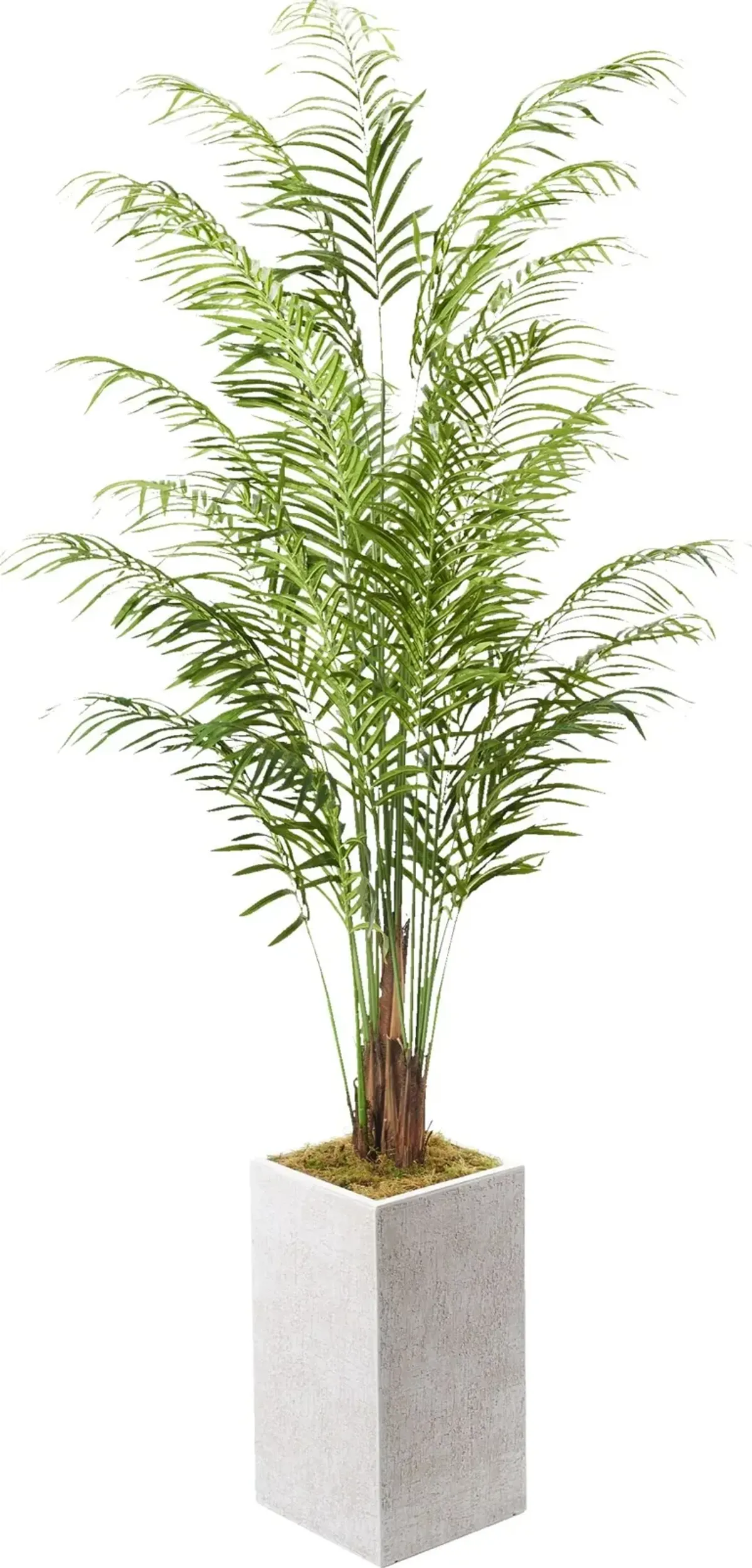 Faux 9.5' Areca Palm Plant with White Sanibel Planter - Large