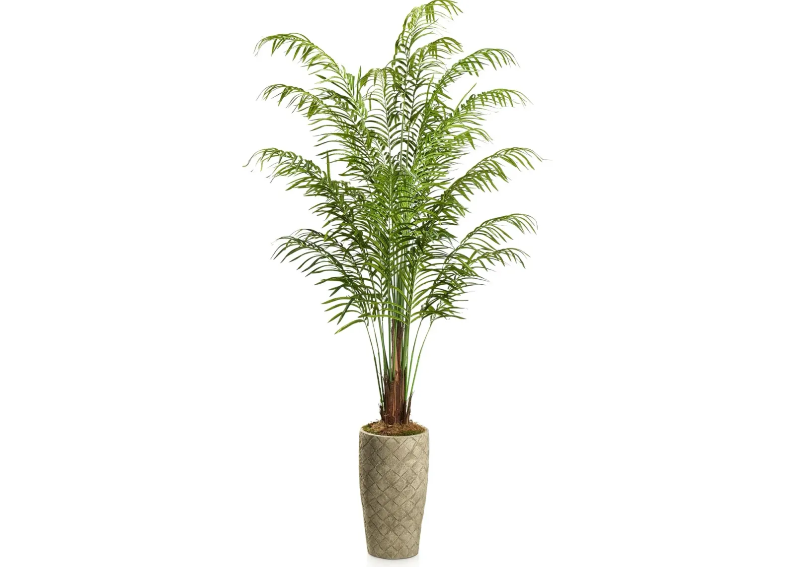 Faux 9.5' Areca Palm Plant with Verona Terracotta Planter - Medium