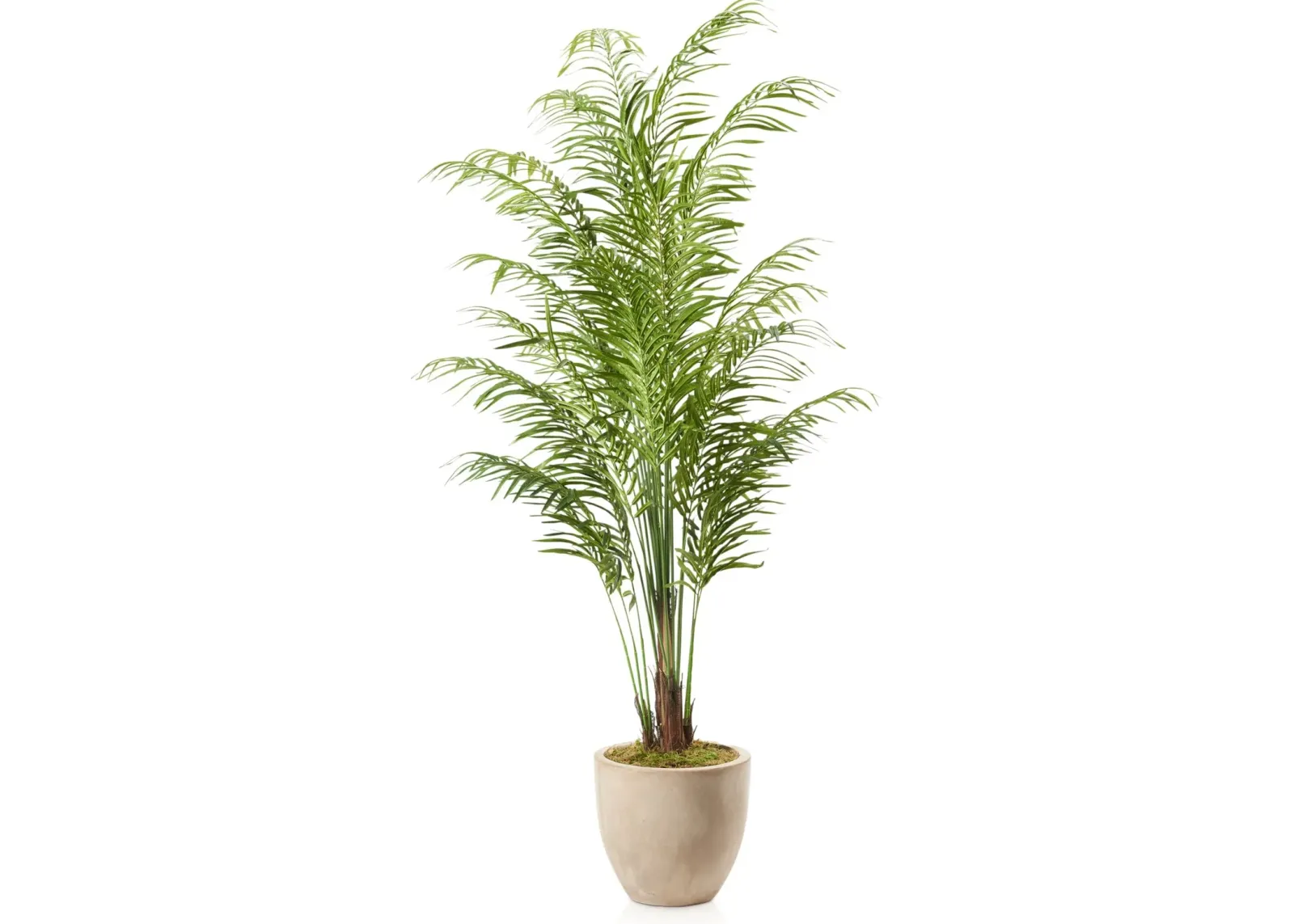 Faux 9' Areca Palm Plant with Sandstone Planter - Large