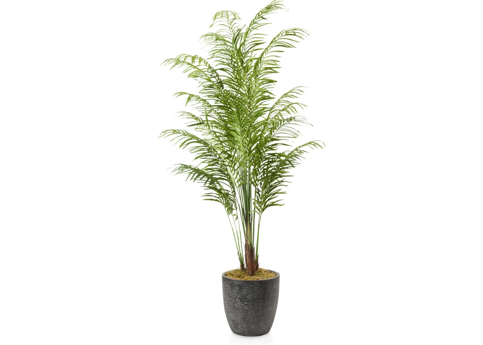 Faux 9' Areca Palm Plant with Summit Planter - Large