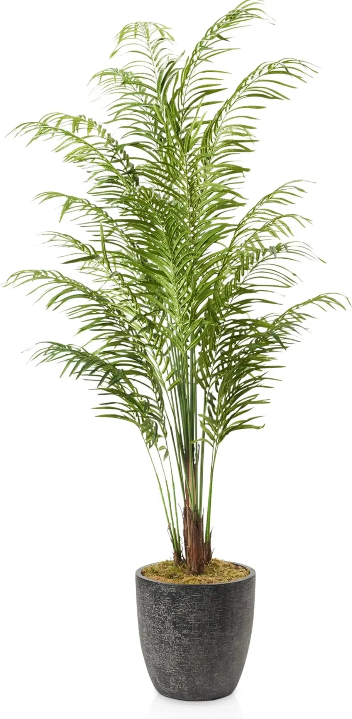 Faux 9' Areca Palm Plant with Summit Planter - Large