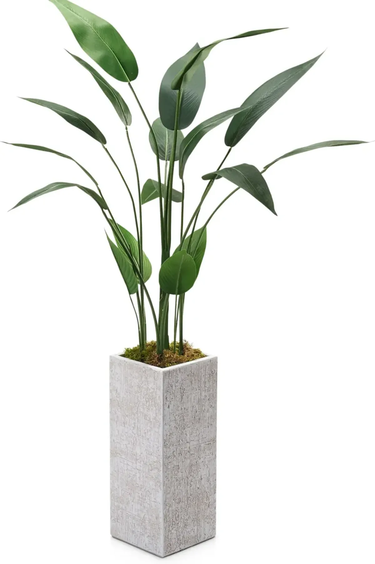 Faux 5' Travellers Palm Tree with White Sanibel Planter - Small