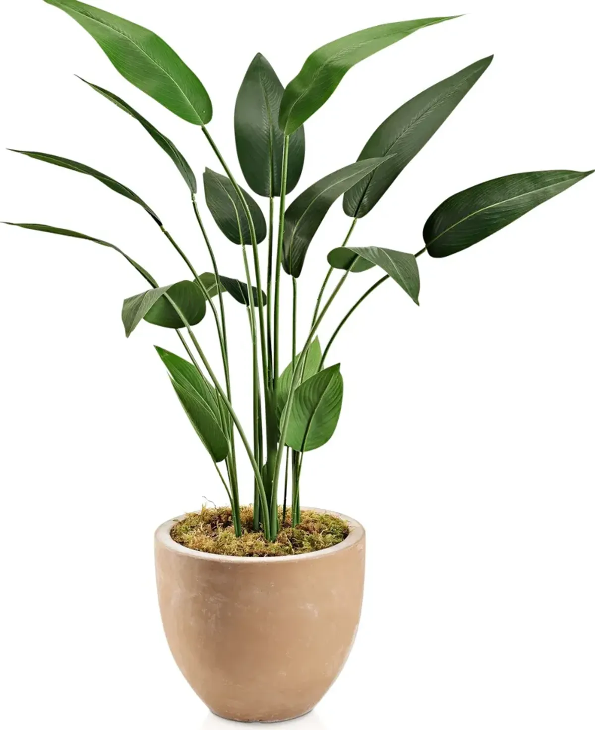 Faux 4.5' Travellers Palm Tree with Sandstone Planter - Small