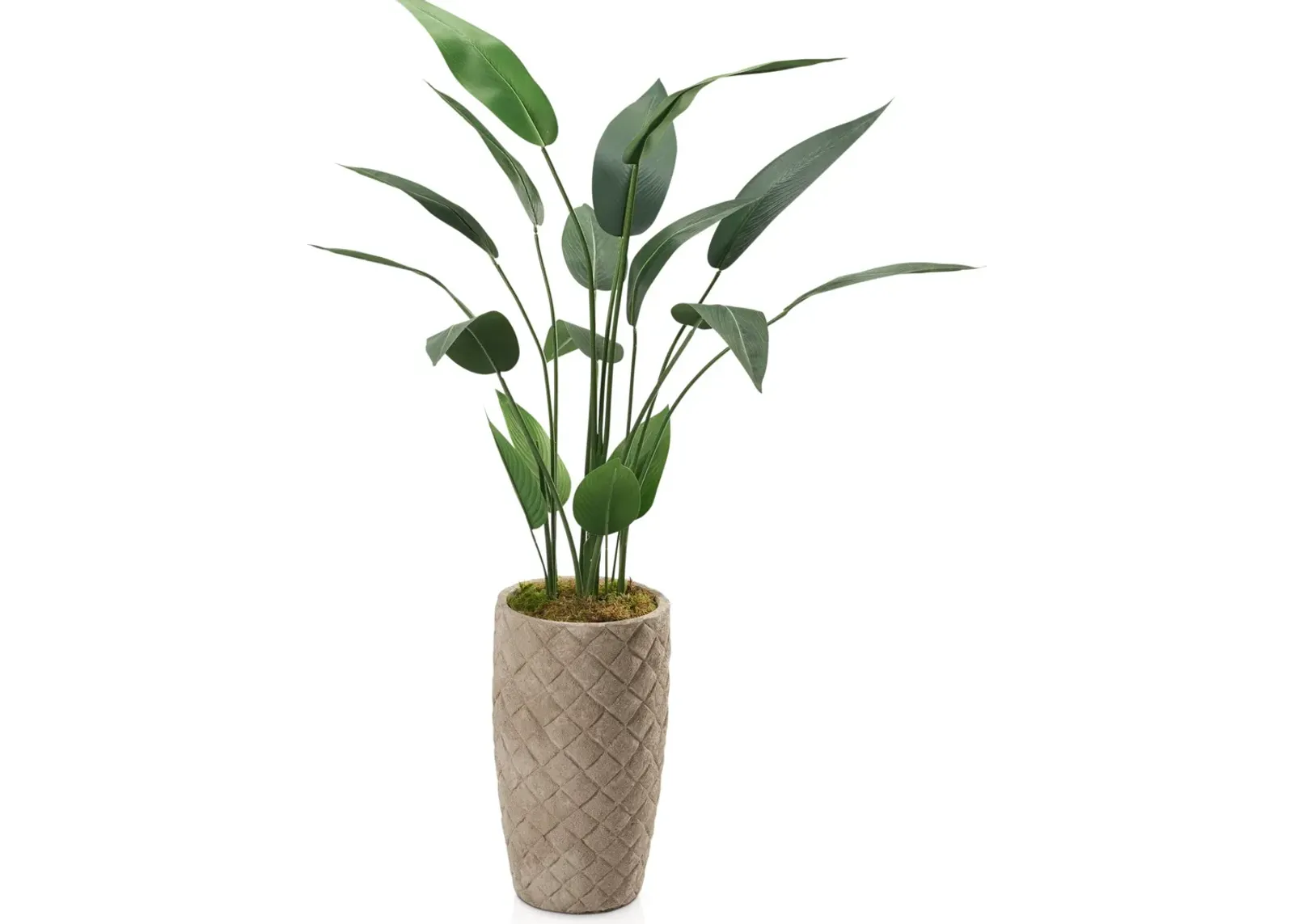 Faux 5' Travellers Palm Tree with Verona Terracotta Planter - Small