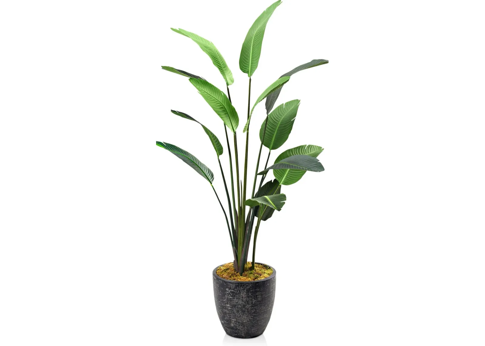 Faux 7' Travellers Palm Tree with Summit Planter - Medium