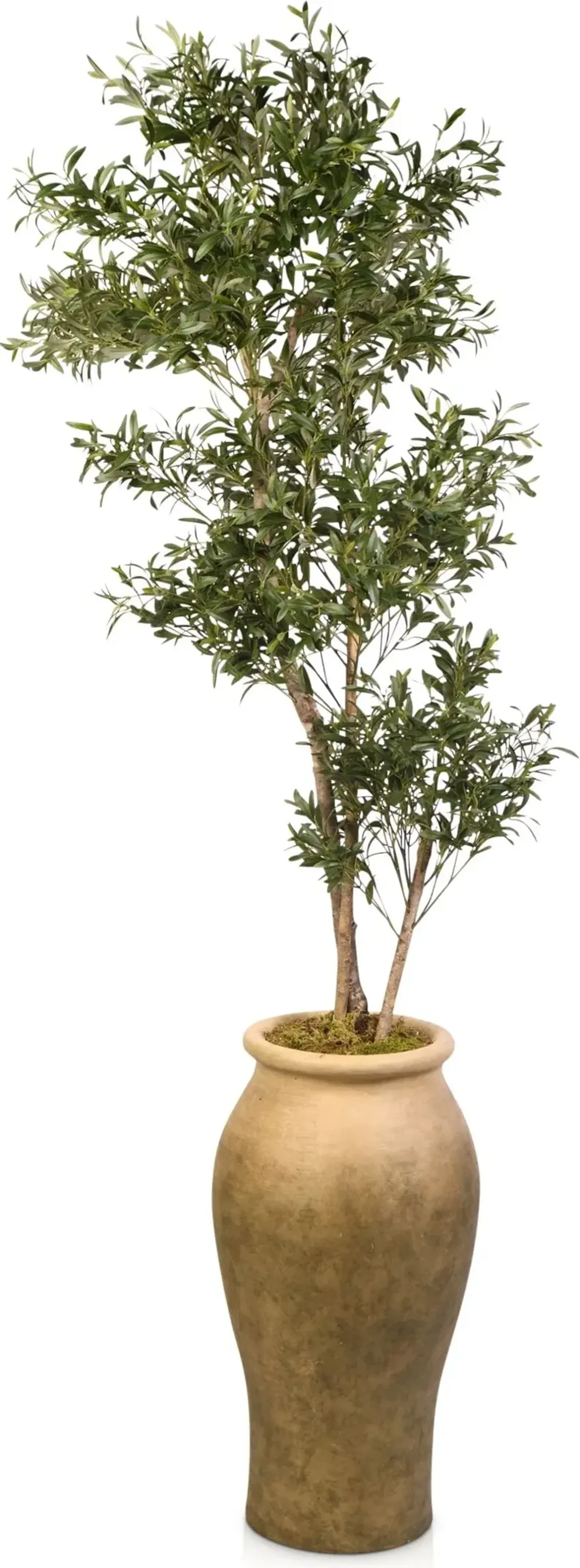 Faux 8.5' Olive Tree with Tuscan Terracotta Planter - Large