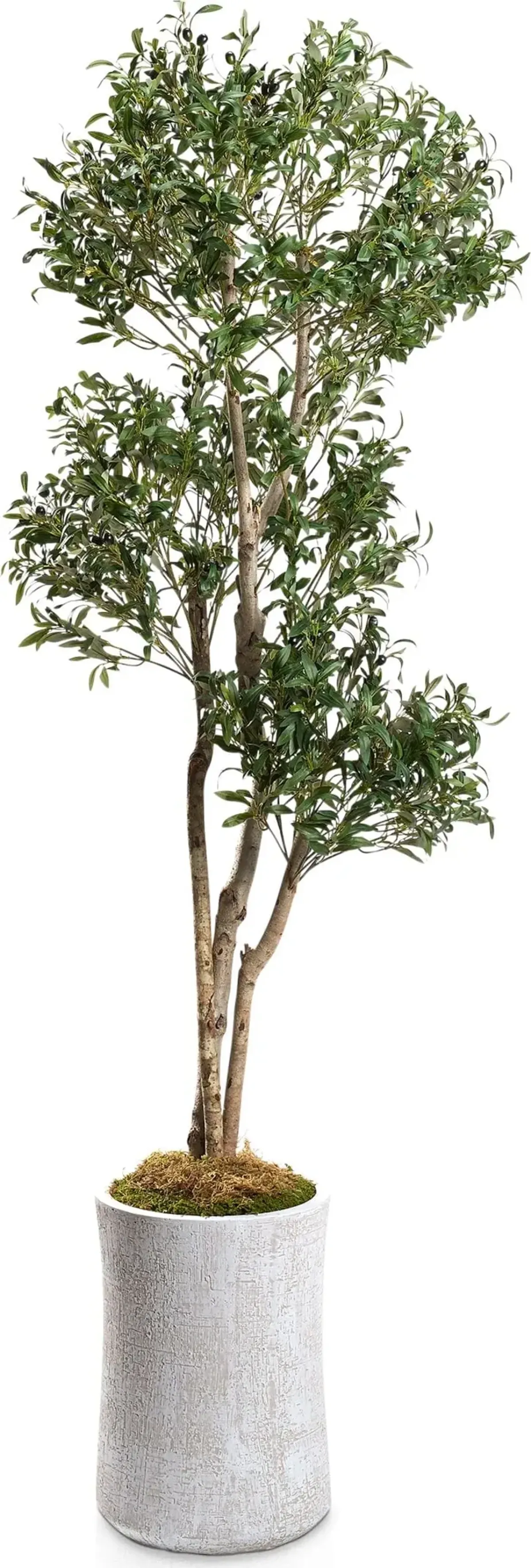 Faux 8' Olive Tree with Zen Planter - Large