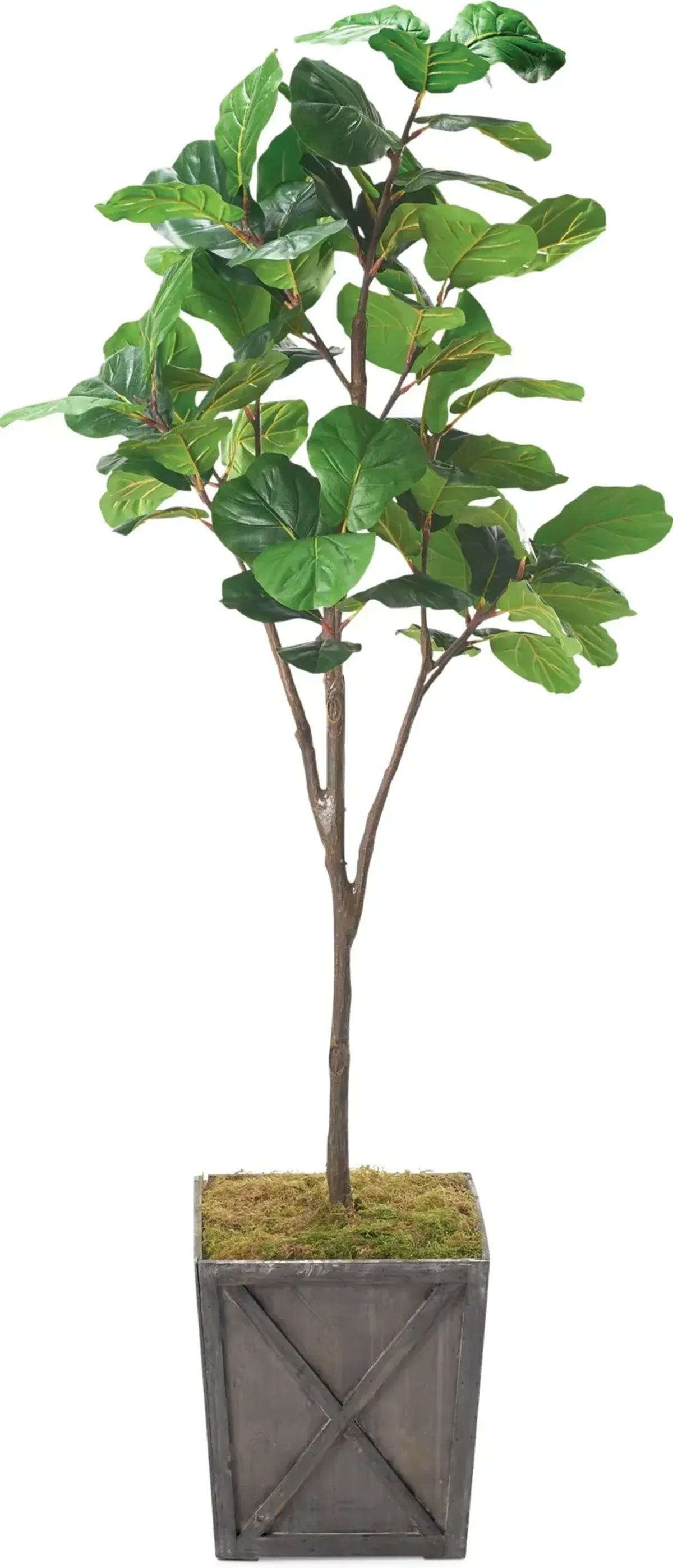 Faux 8' Fiddle Leaf Fig Tree with Farmhouse Wood Planter - Large