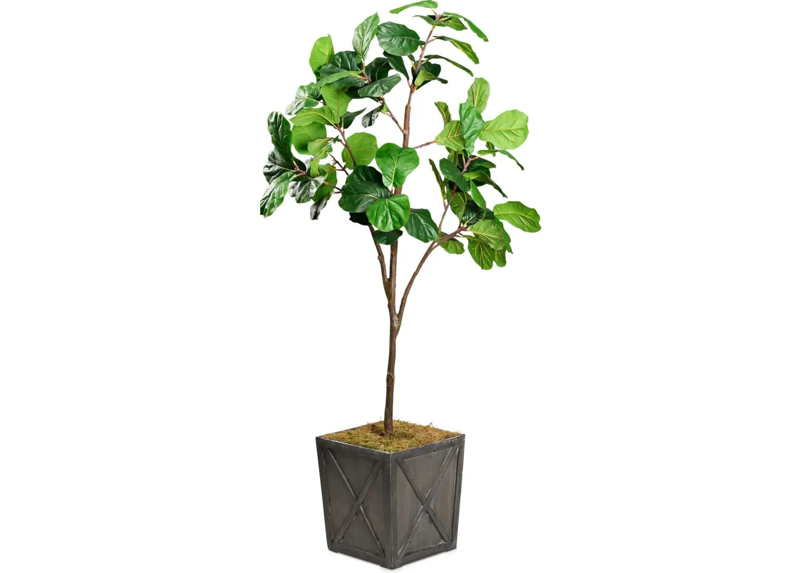 Faux 8' Fiddle Leaf Fig Tree with Farmhouse Wood Planter - Large