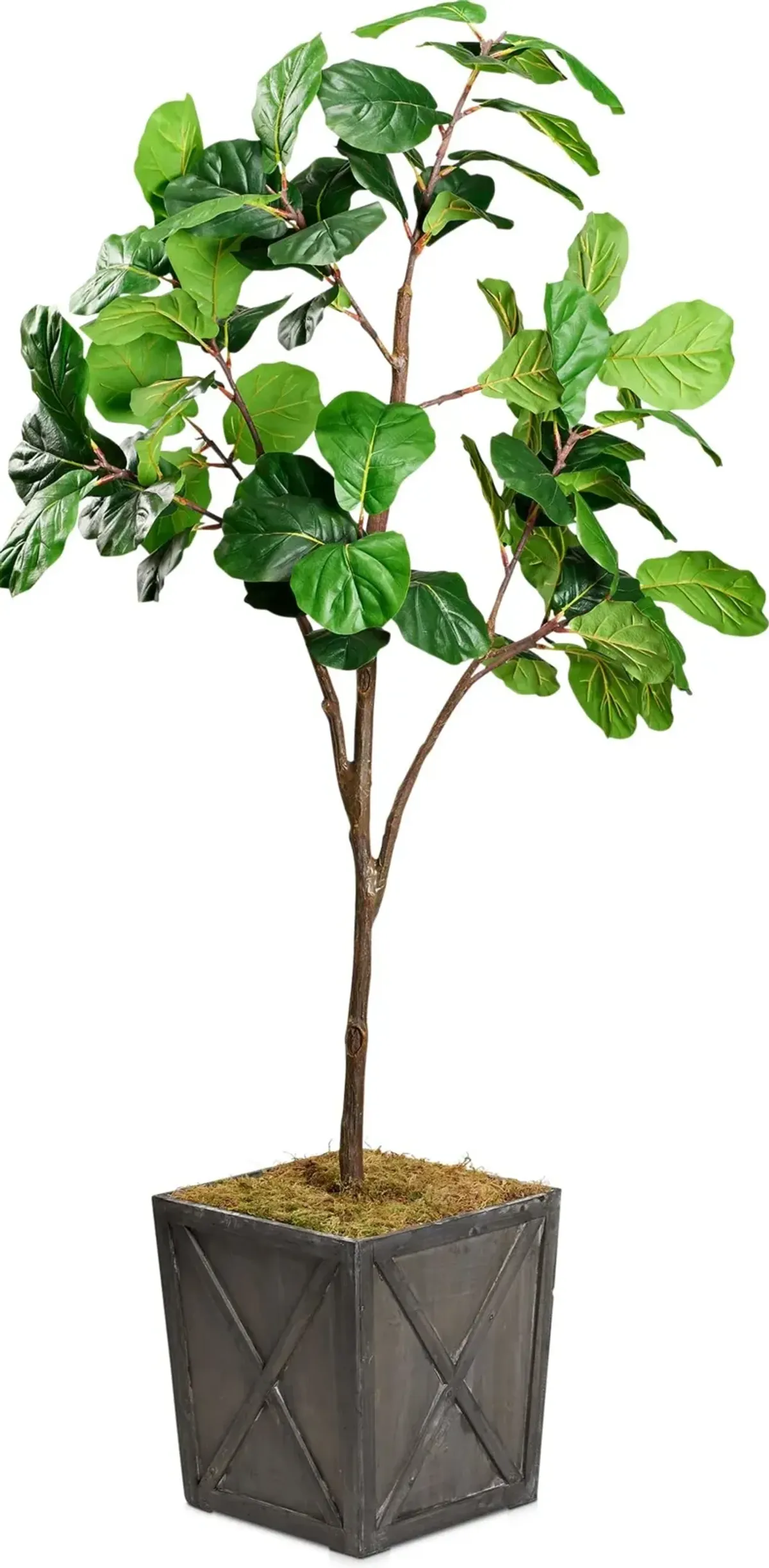 Faux 8' Fiddle Leaf Fig Tree with Farmhouse Wood Planter - Large