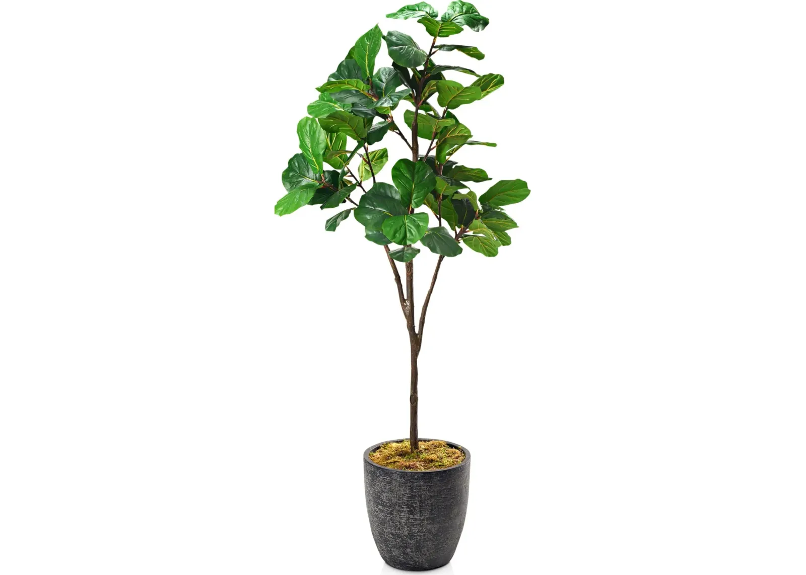 Faux 8' Fiddle Leaf Fig Tree with Summit Planter - Large