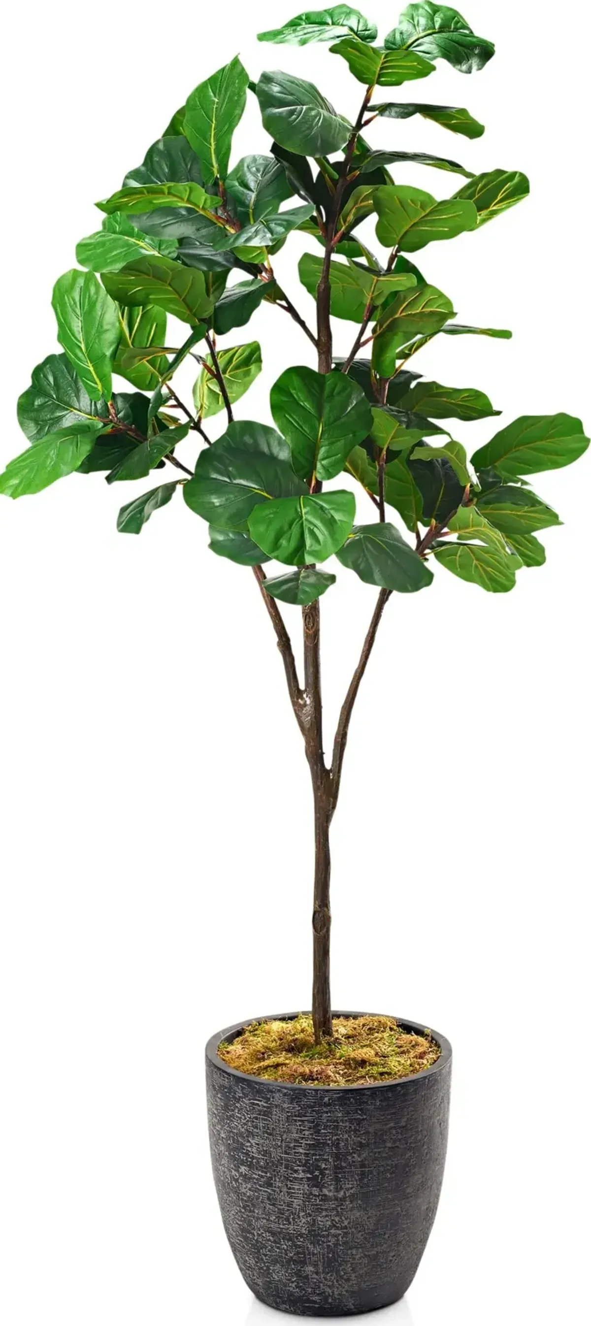 Faux 8' Fiddle Leaf Fig Tree with Summit Planter - Large