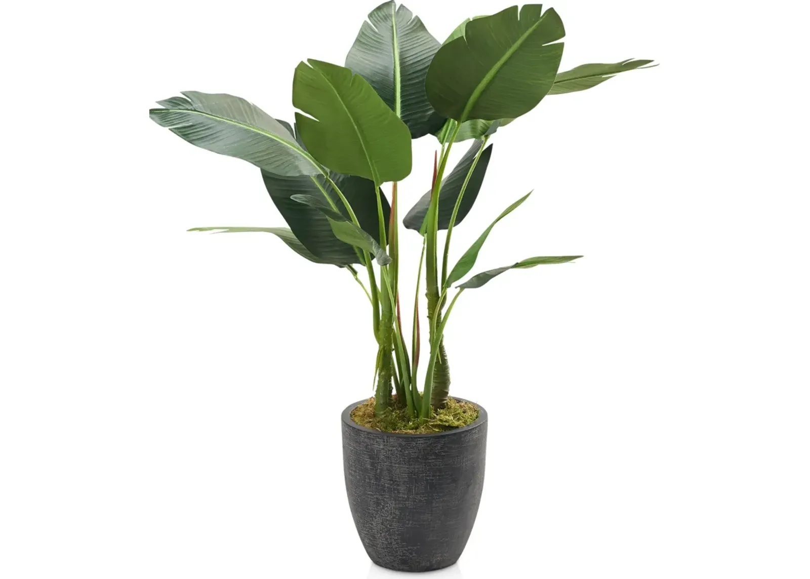 Faux 4.5' Bird of Paradise Plant with Summit Planter - Medium