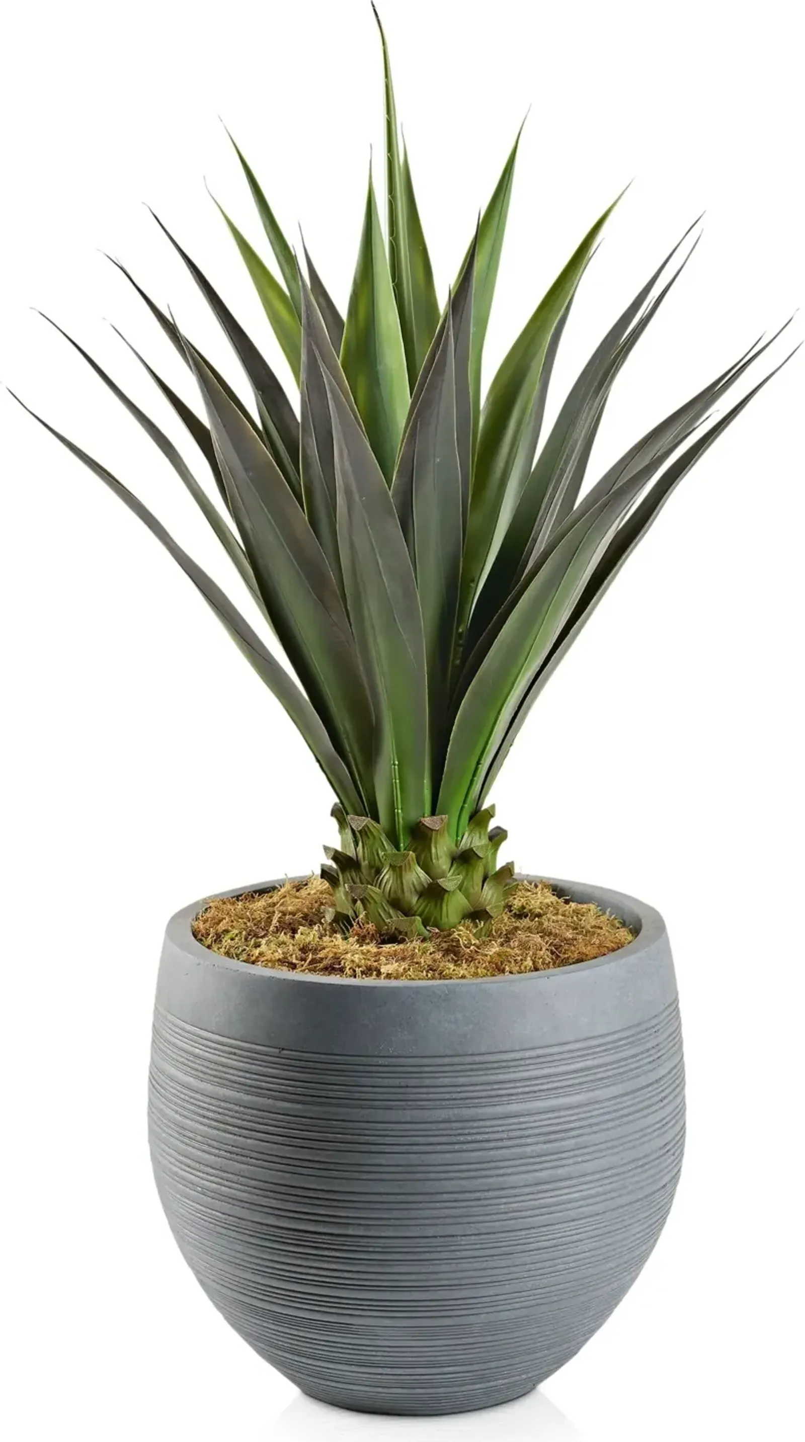 Faux Jumbo Agave Plant with Joel Planter - Large