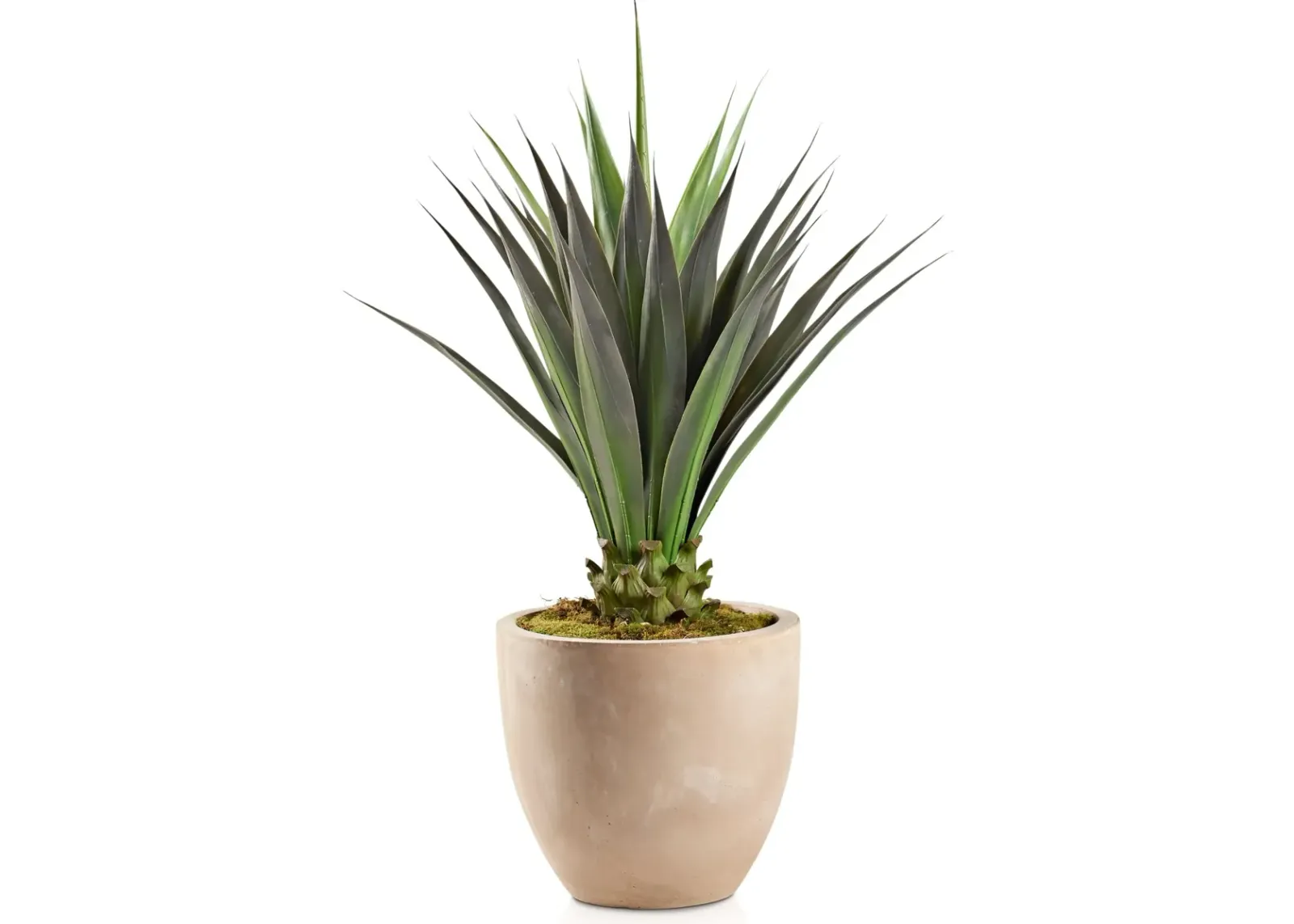 Faux Jumbo Agave Plant with Sandstone Planter - Large