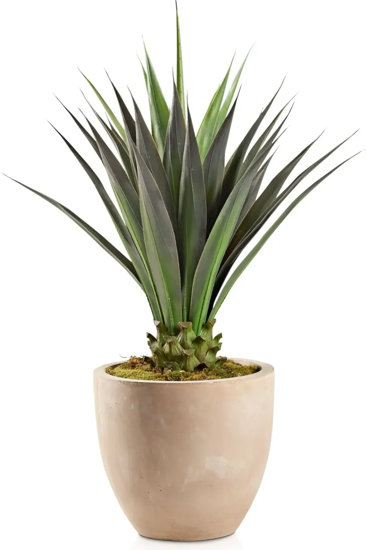 Faux Jumbo Agave Plant with Sandstone Planter - Large