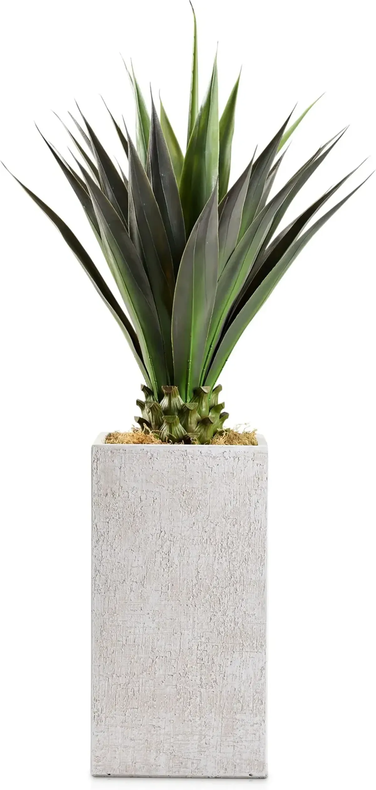 Faux 4.5' Jumbo Agave Plant with White Sanibel Planter - Large