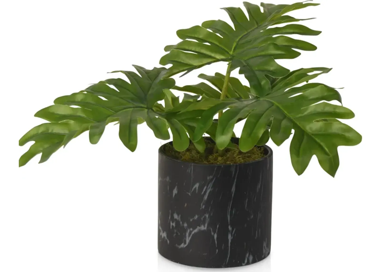 Faux Philo Selloum Plant in Marble Vase - Black