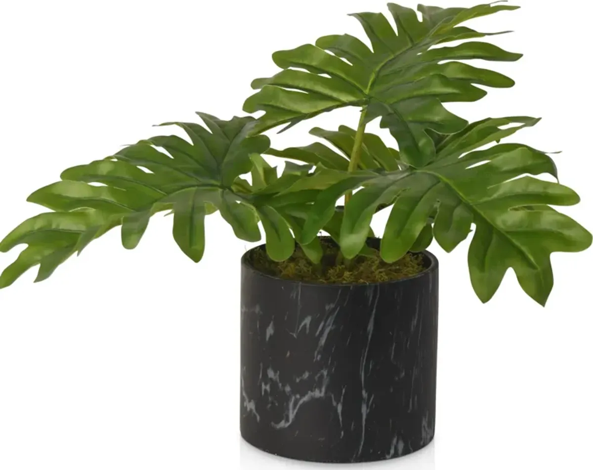 Faux Philo Selloum Plant in Marble Vase - Black