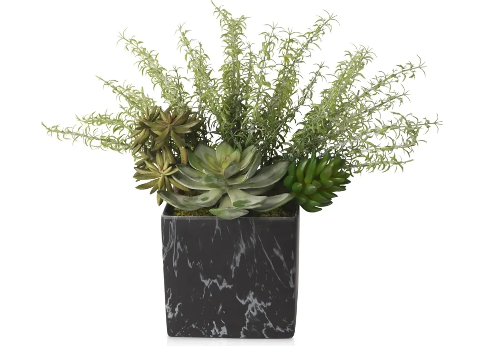 Faux Mixed Succulents and Rosemary Plant in Ceramic Vase - Black