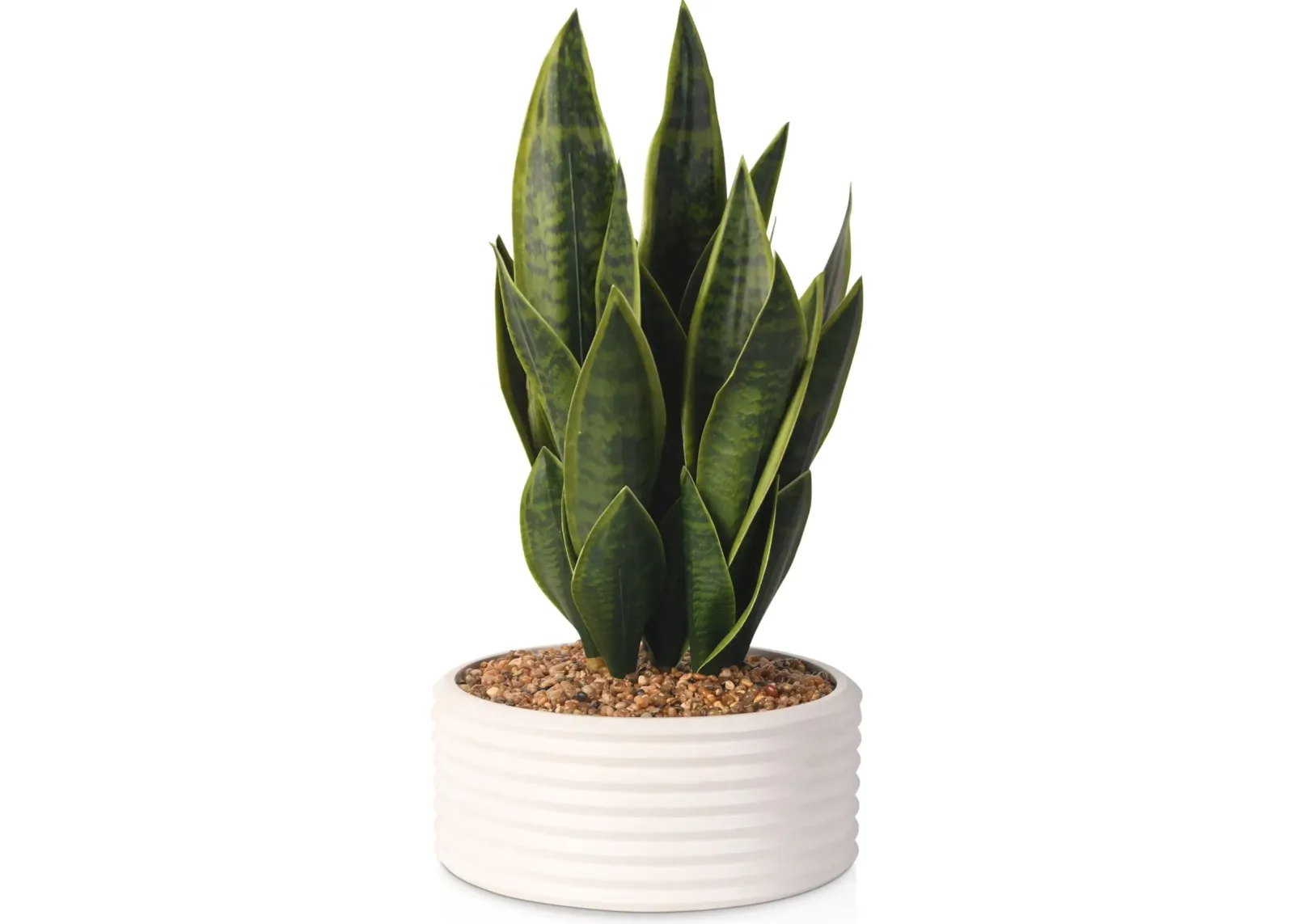 Faux Snake Plant in Ceramic Pot