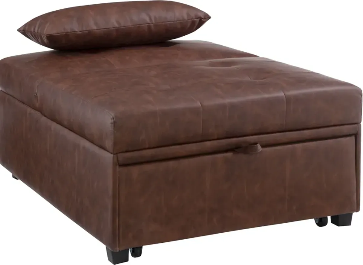 Riley Dozer Bed - Brown