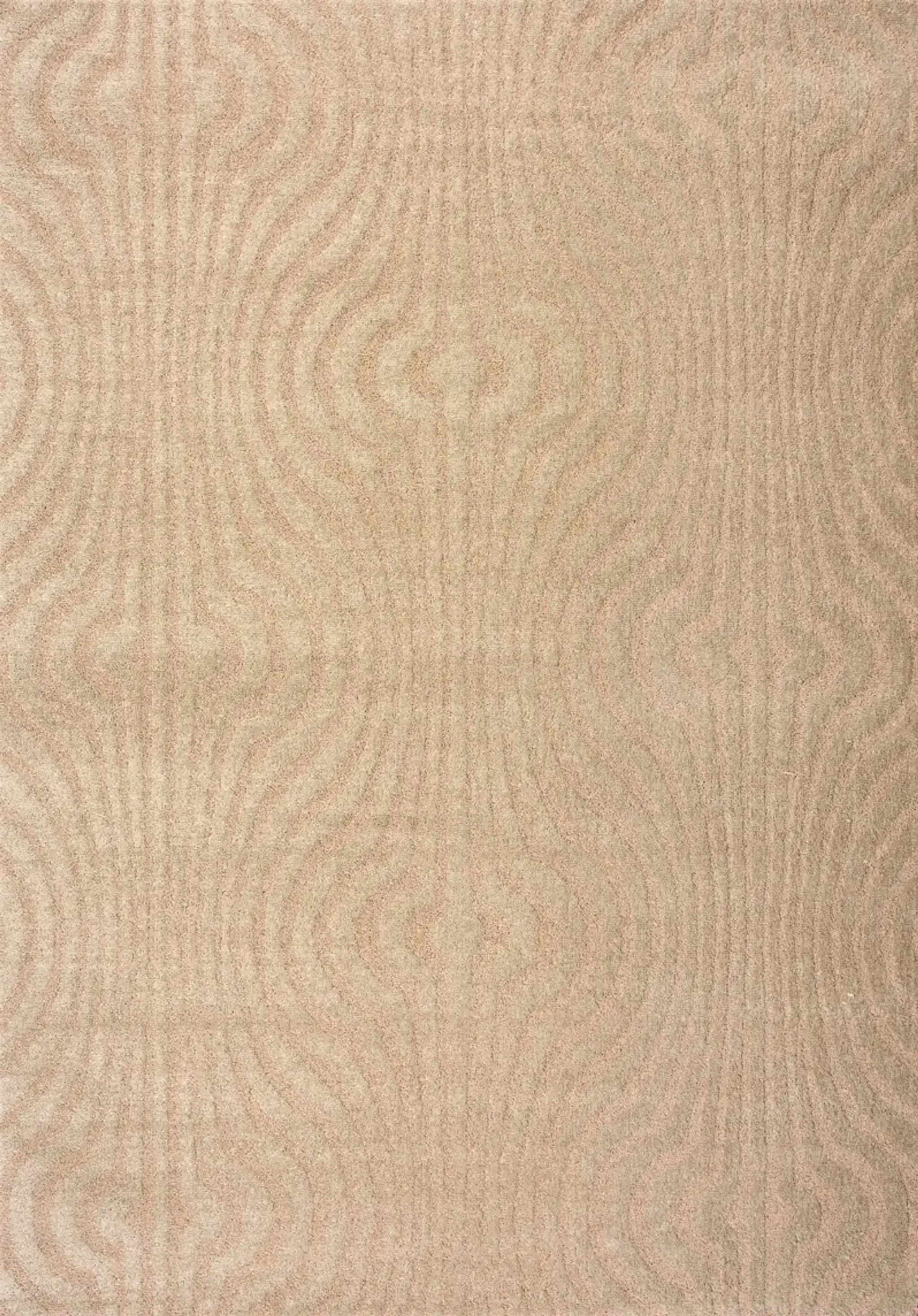 Eustoma 5x7 Rug Beige Value City Furniture | Furniture.com