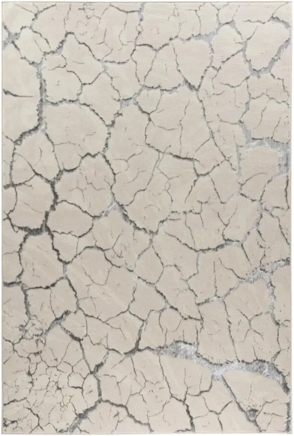 Beecher 8' x 11' Area Rug - White/Silver