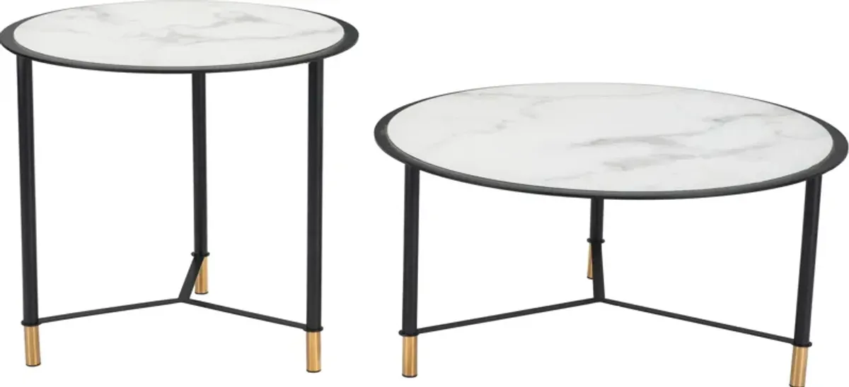 Trelly Set Of 2 Coffee Tables