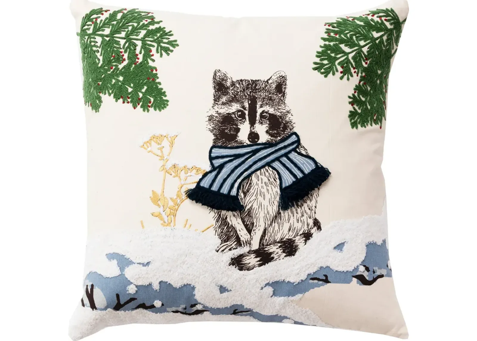 Raccoon 20"x20" Pillow