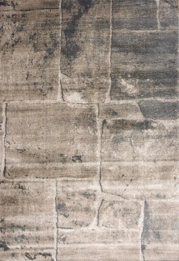 Dami 8' x 11' Area Rug -Gray/Beige