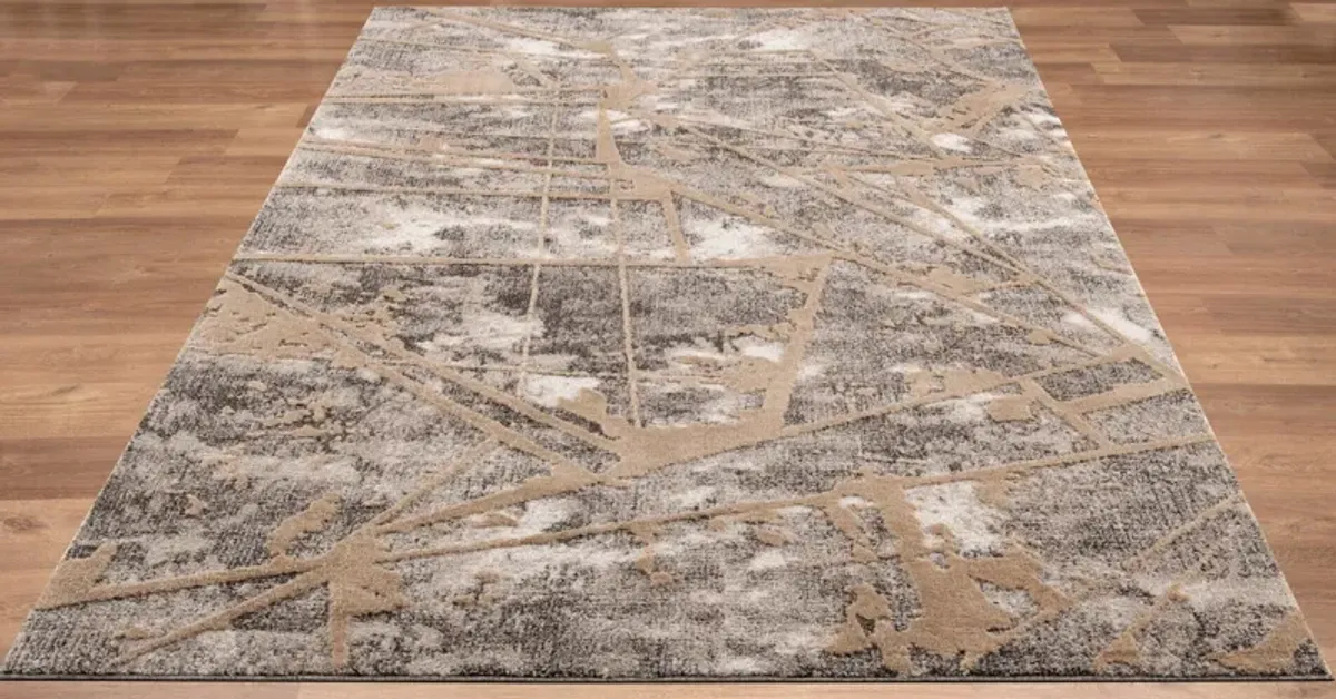 Paige 8' x 10 Area Rug -  Beige