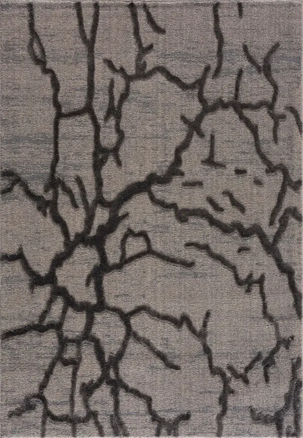 Paige 5' x 8' Area Rug -  Gray/Cream