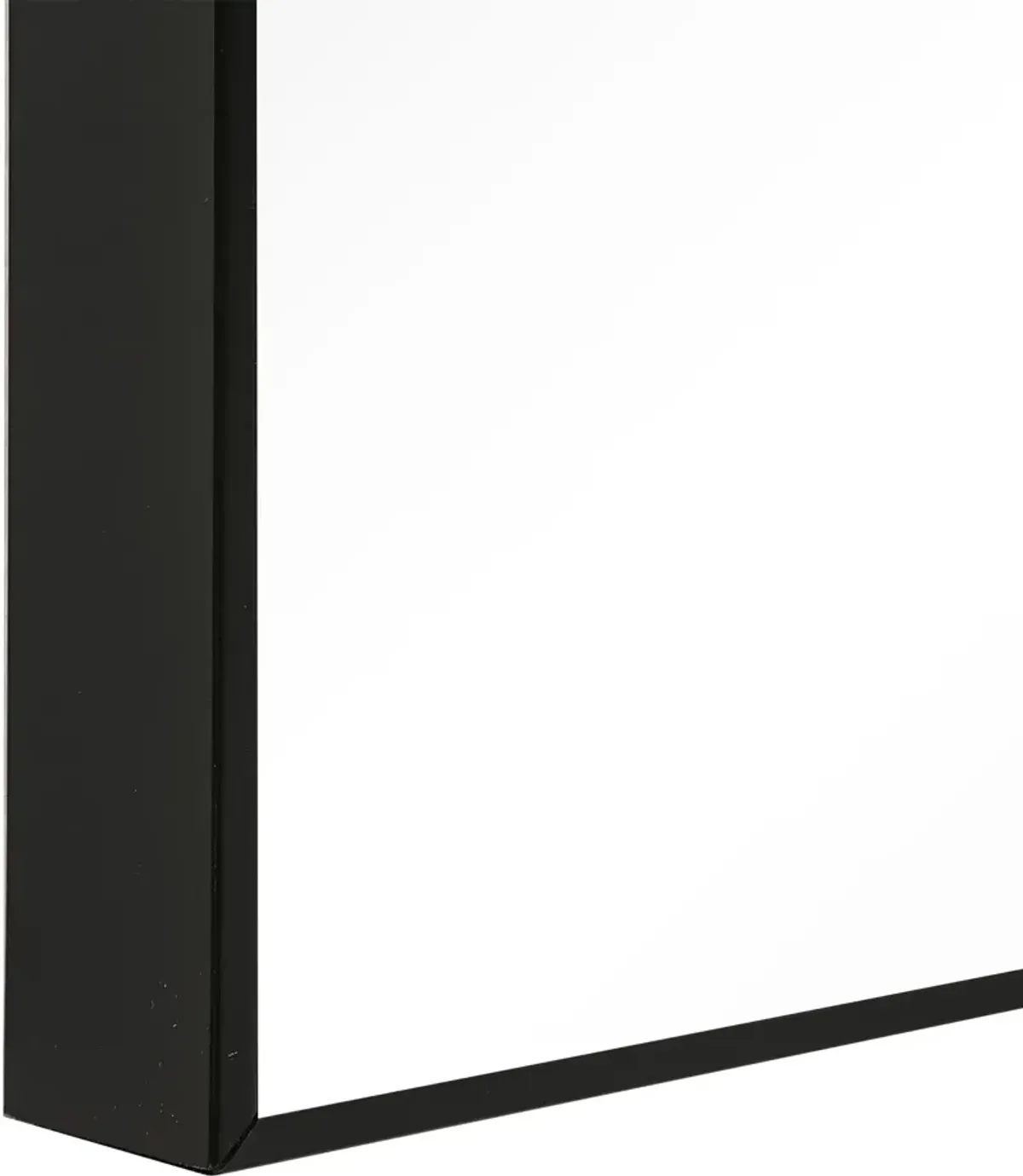 Barrymore 60'' x 20'' Wall Mirror