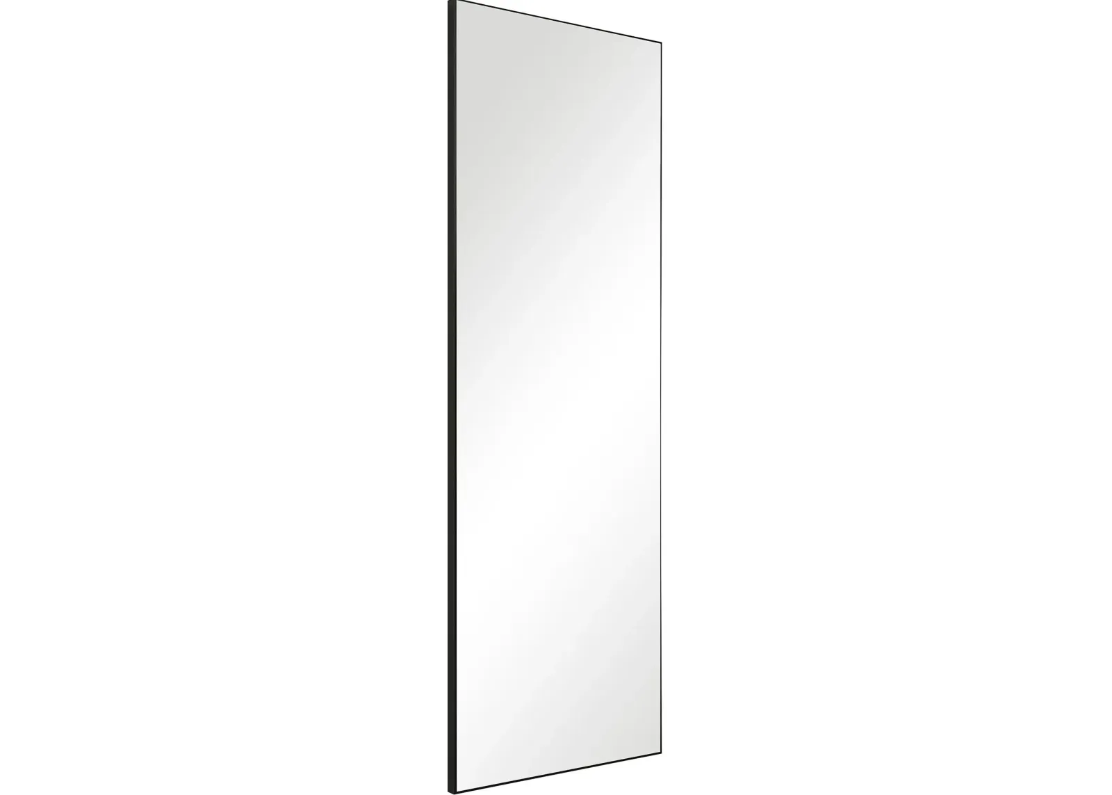 Barrymore 60'' x 20'' Wall Mirror